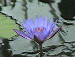 DSC00450.JPG